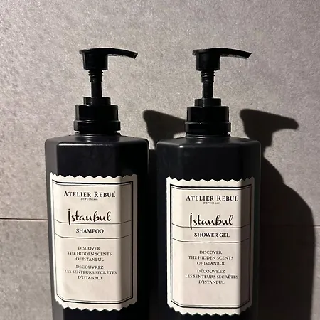 Ξενοδοχείο Artotel *